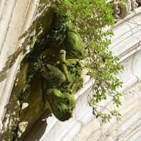 Profile Picture of Markus Gahleitner (@magahleitner) on Pinterest