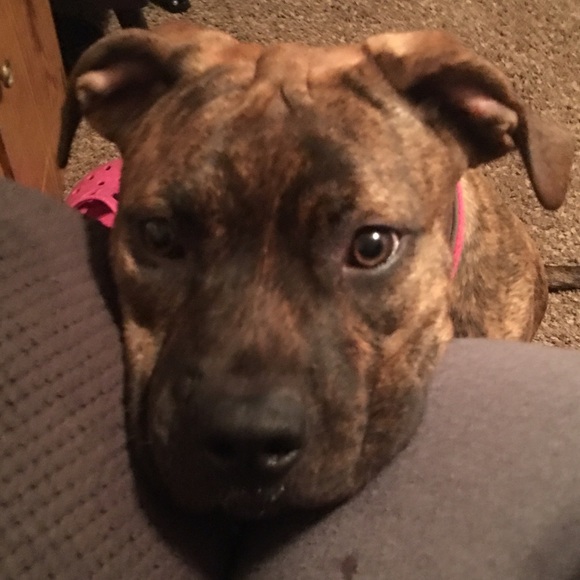 Profile Picture of Joseph Garvin (@jdgarvin) on Poshmark