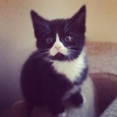 Profile Picture of Julia Beard (@JuliaBeard1) on Twitter