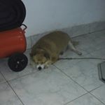 Profile Picture of rudy steven chung (@rudy_steven_chung) on Instagram