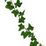 Profile Picture of Ivy (@ilovessnape) on Instagram