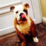 Profile Picture of David Albert Cullingford (@david_19808) on Instagram