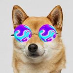 Profile Picture of Mike Kim (@basilicopomodoro) on Instagram