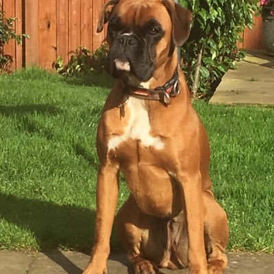 Allan Baxter - Twitter Profile Picture of Allan Baxter (@baxter_allan) on Twitter