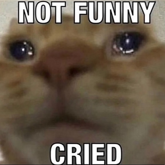 Profile Picture of Ruby Silva (@specialuvs) on Poshmark