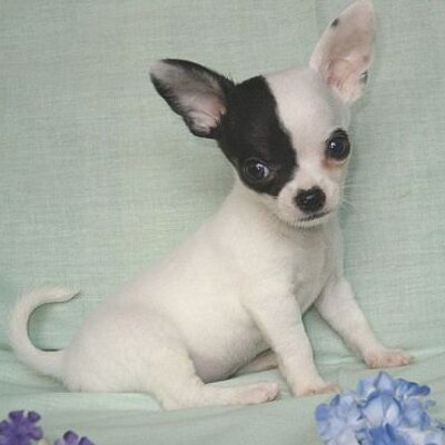 Profile Picture of Heidi DeVille (@allkeepers) on Twitter