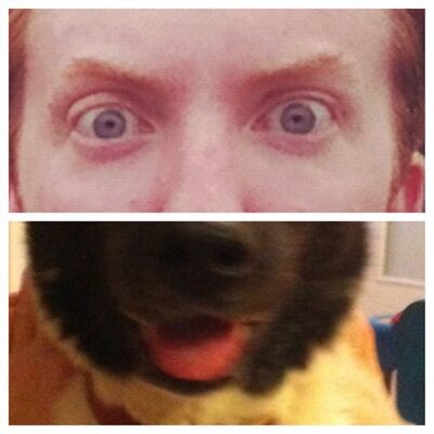 Profile Picture of David Darley (@DavidDarley) on Twitter