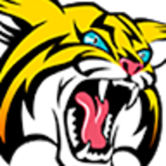 Profile Picture of Dominic Catino (@dominiccatino) on Poshmark