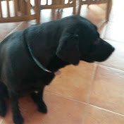 Profile Picture of Sandra Marks (@sandramarks2437) on Youtube