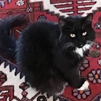 Profile Picture of Cynthia Conides (@cynthia-conides) on Quora