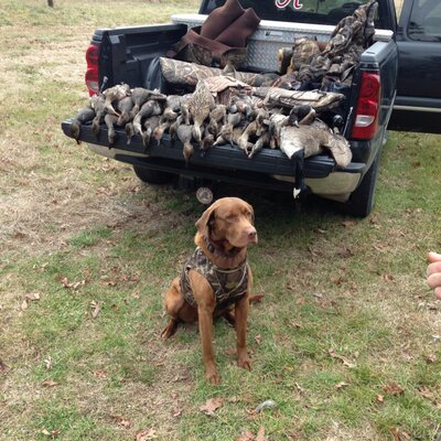 Profile Picture of Tyler Sambo Avery (@TeamCuttem) on Twitter