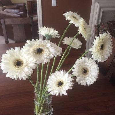 Profile Picture of Monica Packer (@monica_packer) on Twitter