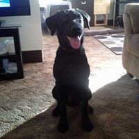 Profile Picture of Tanya Wield-pinter (@tanya-wield-pinter) on Quora