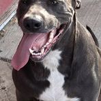 Profile Picture of Brad Baxter (@Brad-Baxter) on Facebook