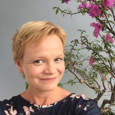 Profile Picture of Sue Holloway (@successfulexpat) on Twitter