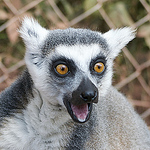 Profile Picture of Dave Graham (@roll1nthund3r) on Flickr