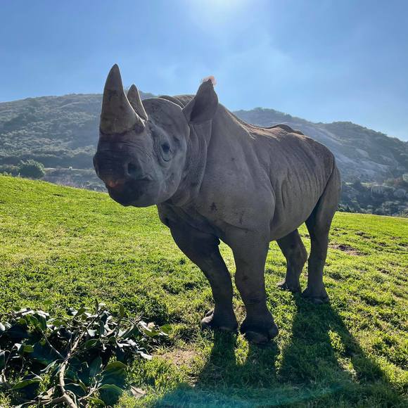 Profile Picture of Mike Troiano (@mrt645) on Poshmark