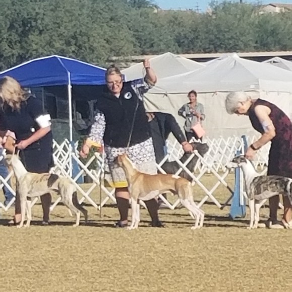 Profile Picture of Whitney Shafer (@whitcowgirl0112) on Poshmark