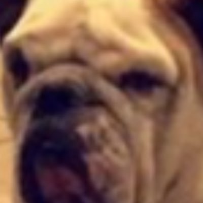 Profile Picture of Noah Daseking (@SaltyLemons__) on Twitter