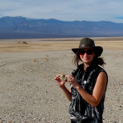 Profile Picture of Lisa Marie Potter (@Lisa_M_Potter) on Twitter