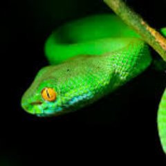 ALEJANDRO JESUS LOUIS BOMPART - Twitter Profile Picture of ALEJANDRO JESUS LOUIS BOMPART (@ale9jesus1) on Twitter