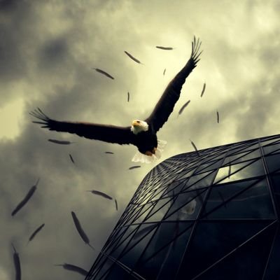 Profile Picture of Aaron Rosenberger (@AaronERosenberg) on Twitter