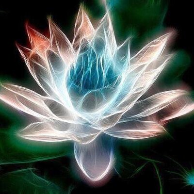 Profile Picture of Lisa Womack (@LisaCWomack) on Twitter