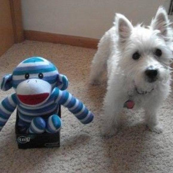 Profile Picture of Rosemary Kusak (@rosemarykusak) on Poshmark