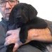 Profile Picture of Frank Manhardt (@frank.manhardt) on Facebook