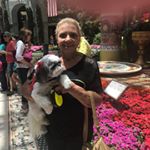 Profile Picture of Brenda Zajac-pendleton (@zajacpendleton) on Instagram