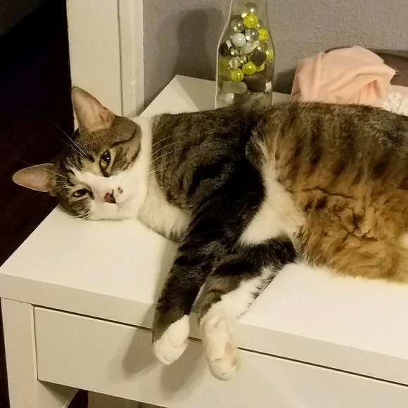 Profile Picture of Katelynn Marx (@katelynncm) on Poshmark