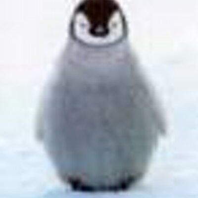 Profile Picture of Nathaniel Klein (@NathanielKlein) on Twitter