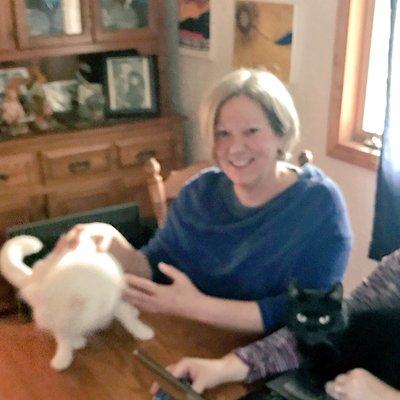 Profile Picture of Micky Mitchell (@mickymjm) on Twitter