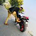 Profile Picture of Imtiaz Alam (@imtiaz.alam.33671) on Facebook