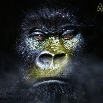 Profile Picture of Jeff Pugh (@jp_1906) on Twitter