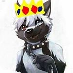 Profile Picture of Randal Thomas (@dragonrider0209) on Instagram