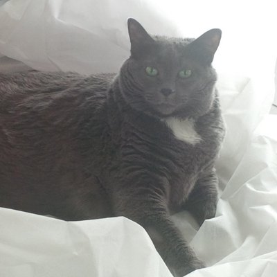 Profile Picture of Beverly Balaski (@BeballRn) on Twitter