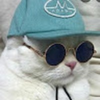 Profile Picture of Julia Gogaj (@julia-gogaj) on Quora