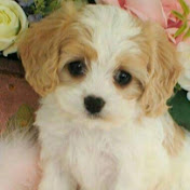 Profile Picture of Bree Jackson (@breejackson3411) on Youtube