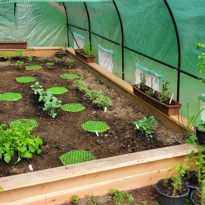 Profile Picture of Stephen Cusimano (@MaCusi) on Twitter