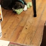 Profile Picture of Edward Kemp (@Edward-Kemp) on Facebook