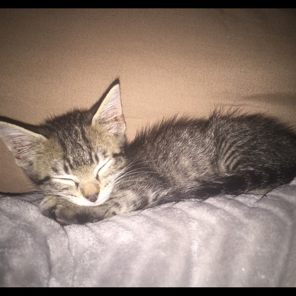 Renee Hennessey - Poshmark Profile Picture of Renee Hennessey (@rhennessey13) on Poshmark