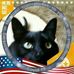 Profile Picture of Barb Stonecipher (@barb.stonecipher.96) on Facebook