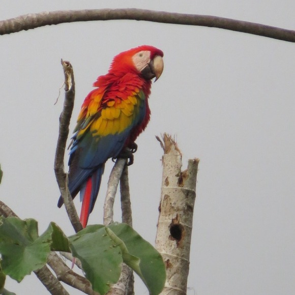 Profile Picture of Virginia Schefter (@asja) on Poshmark