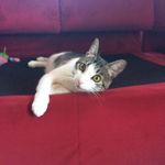 Profile Picture of Clarisa Ortiz (@clarisa.ortiz.9634) on Instagram