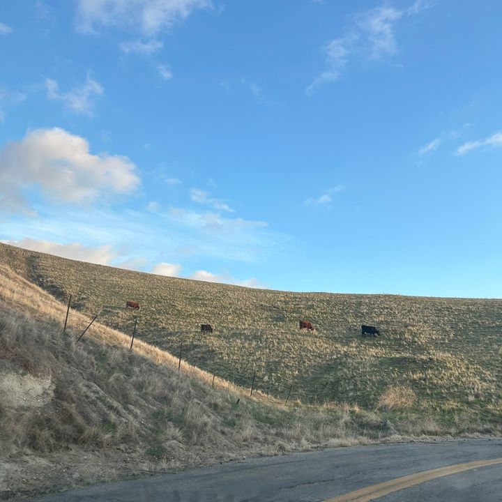 erin - Tiktok Profile Picture of erin (@_erinmadden) on Tiktok