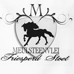 Profile Picture of Meulsteenvlei Friesians (@meulsteenvlei_friesian_stud) on Instagram