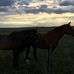 Profile Picture of Corey Frizzell (@corey.frizzell.54) on Facebook