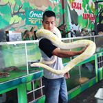 Profile Picture of ALIF CHANDRA (@aliflamimchandra) on Instagram