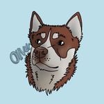 Profile Picture of 𝙲𝚘𝚘𝚙𝚒𝚎𝚜 𝙲𝚛𝚎𝚊𝚝𝚒𝚘𝚗𝚜® (@thehusky._.oliver) on Instagram